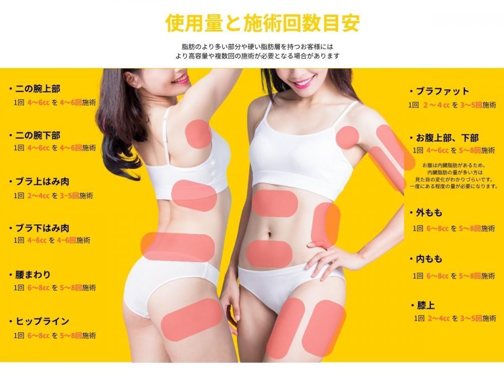 【部位別】レモンボトルの使用量は何cc?回数は?二の腕・お腹・ヒップ・脚の目安とは(銀座/新宿)