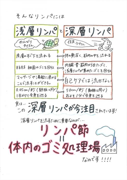 エンダモロジーアライアンス＋深部リンパ節開放でパーフェクトボディ♪