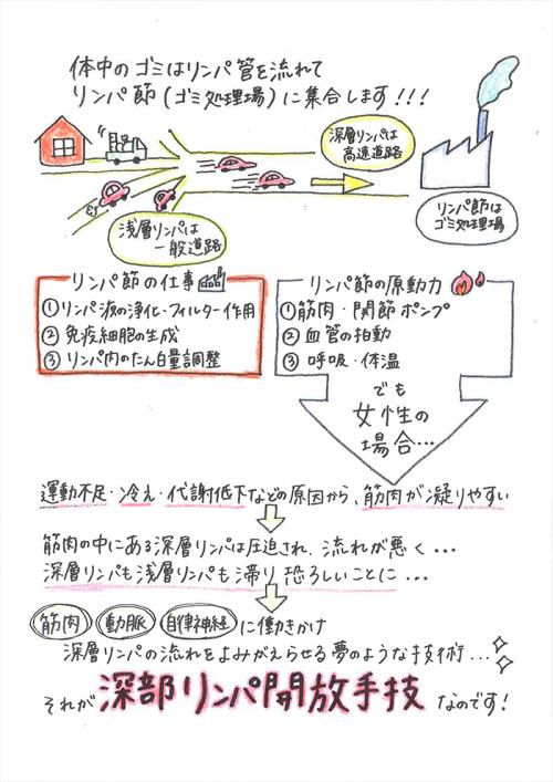 エンダモロジーアライアンス＋深部リンパ節開放でパーフェクトボディ♪