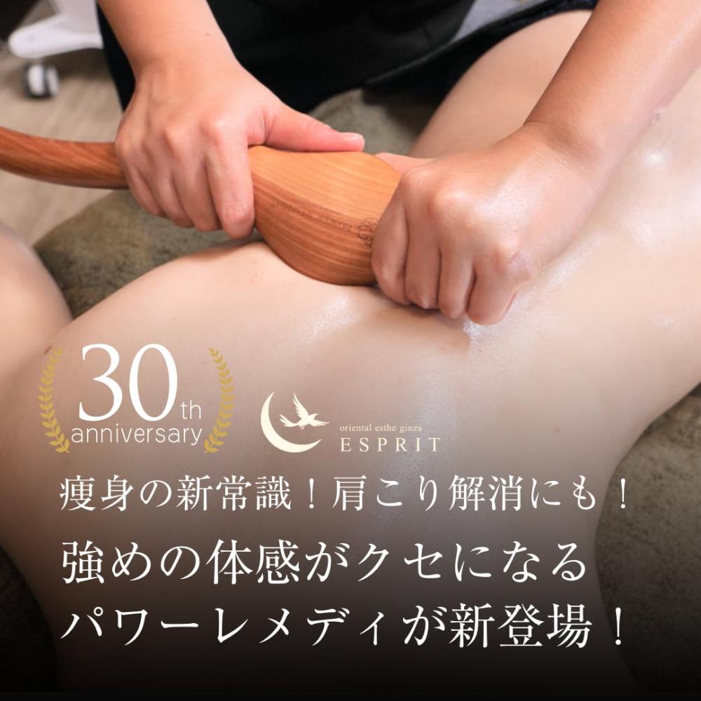痩身の新常識!肩こり解消にも!強めの体感がクセになる韓国式ボディデザインパワーかっさ【パワーレメディ】が新登場!