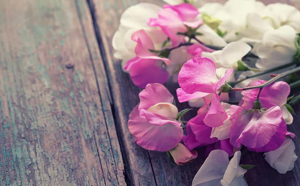 【ギフトカード】スイートピーコース 11,000円(税込)